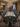 Elina Luxury Grey Marble Dining Table Set with Valentino Lion Knocker Chairs