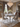 Sofia Grey Marble Dining Table with Rocky Grey Chairs